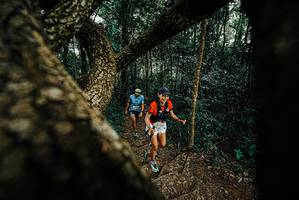 BIB: 
                            <button type="button" onclick="openModal(25667307)" class="btn btn-primary btn-sm float-right btn-popup" data-toggle="modal" data-target=".modal-high-quality">
                        <i class="fas fa-shopping-cart"></i> Add to Cart
                    </button>
                                            <button type="button" onclick="isThisMe(25667307, true)" class="btn btn-success btn-sm float-right btn-popup btn-isme hidden" data-toggle="tooltip" data-placement="bottom" title="นี่คือรูปของคุณใช่ไหม คลิกที่นี่เพื่อเอาเข้าอัลบั้ม">
                        <i class="fas fa-plus"></i> Add to album
                    </button>
                    <button type="button" onclick="isThisMe(25667307, false)" class="btn btn-warning btn-sm float-right btn-popup btn-isnotme hidden">
                        <i class="fas fa-ban"></i> Remove from album
                    </button>